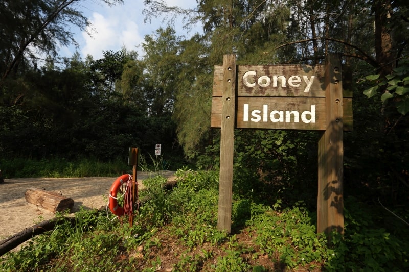 Nature play coney island